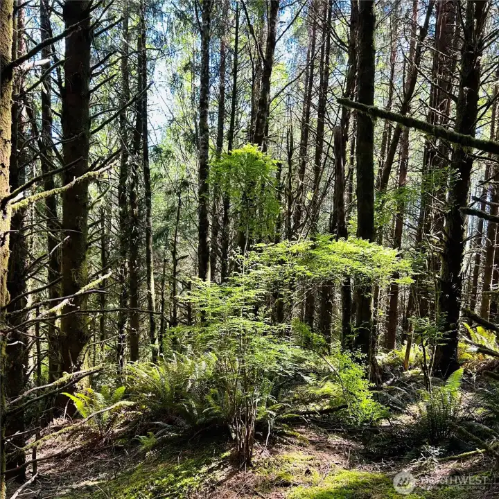 One of several building sites