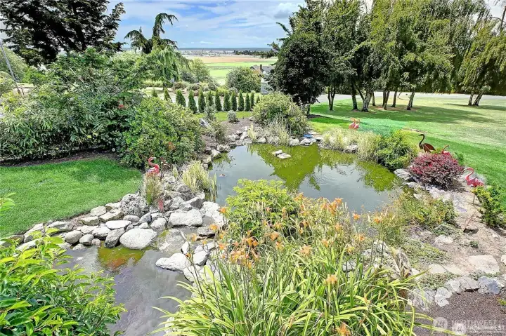 Pond with waterfall and lots of goldfish off the family room.