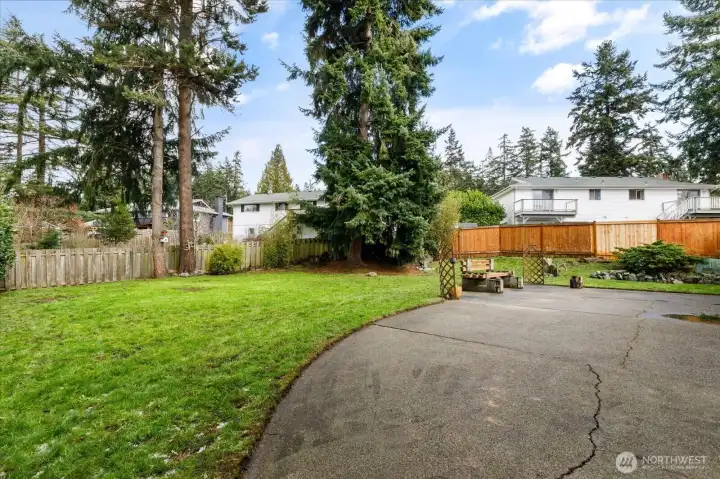 View as you step out back slider into backyard with large patio for entertaining.