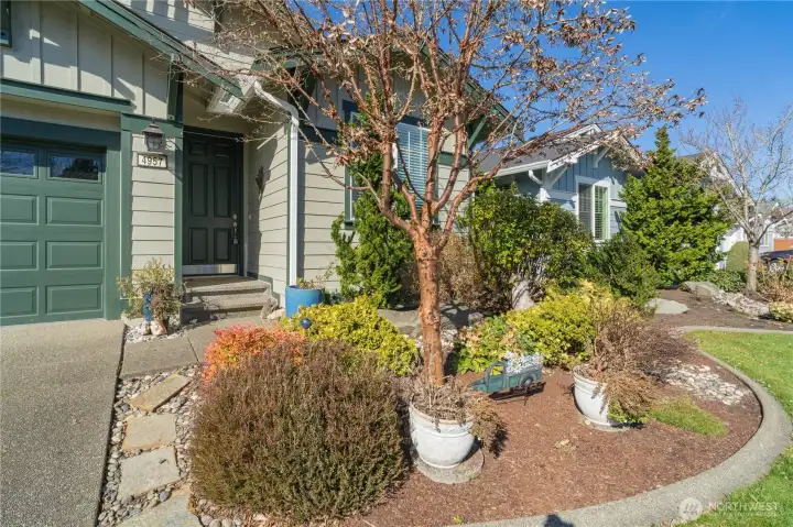 Front yard landscaped