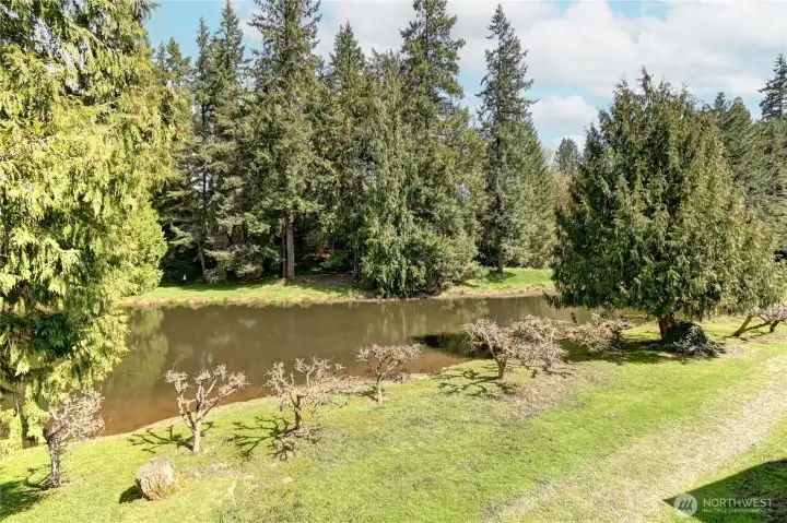Your view from the back deck. Ducks, geese, turtles! Apple trees, woods, water. Simply divine!