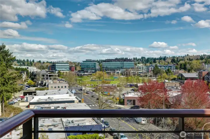 View from Primary of The Urban.
