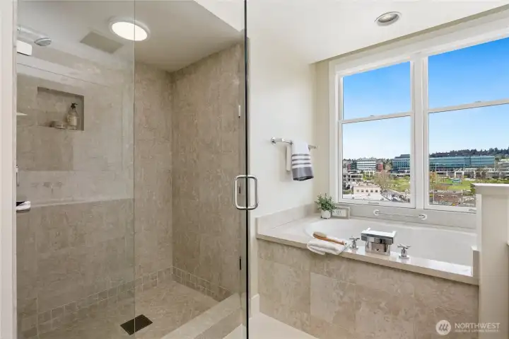 Luxurious Shower and Tub.