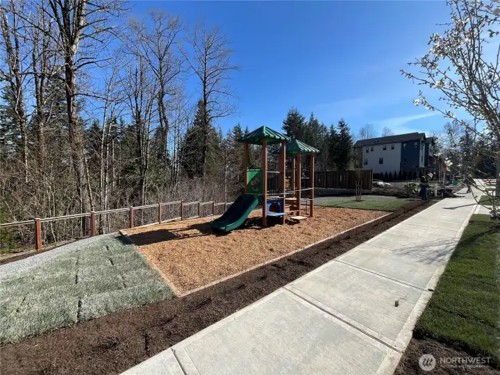 Community Park