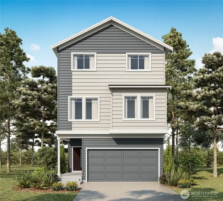 Willow B Rendering