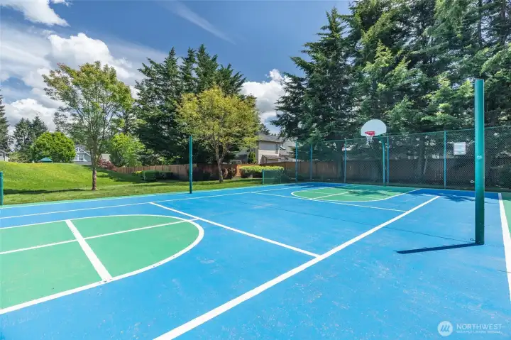 Sports Court
