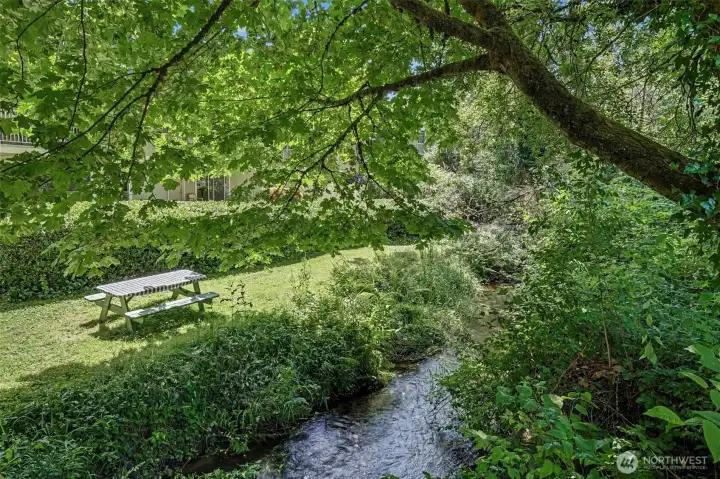Picnic area next to Juanita Creek