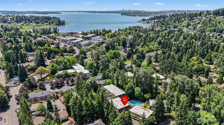 Large aerial view with Lake WA in the background