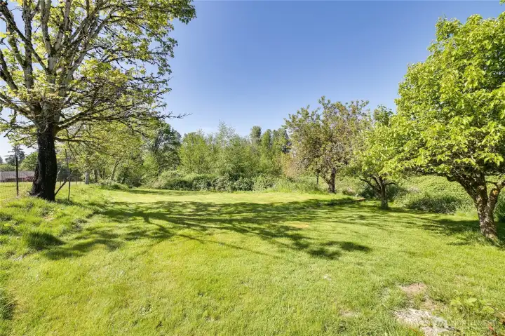 Beautiful yard