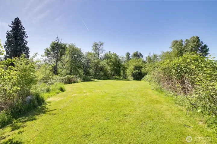 Large Yard