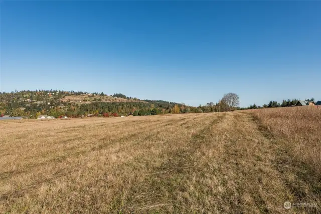 From near SW Boundary looking East