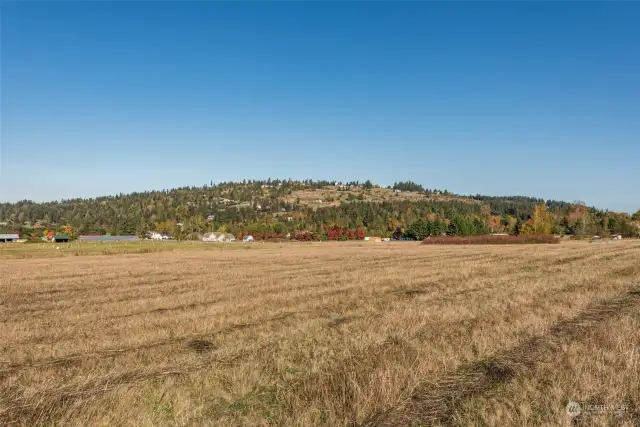 From SW looking toward NE Boundary