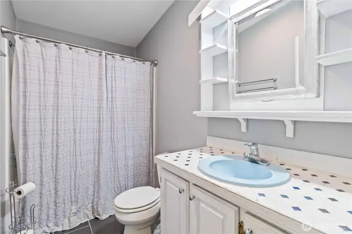 Guest/shared bathroom