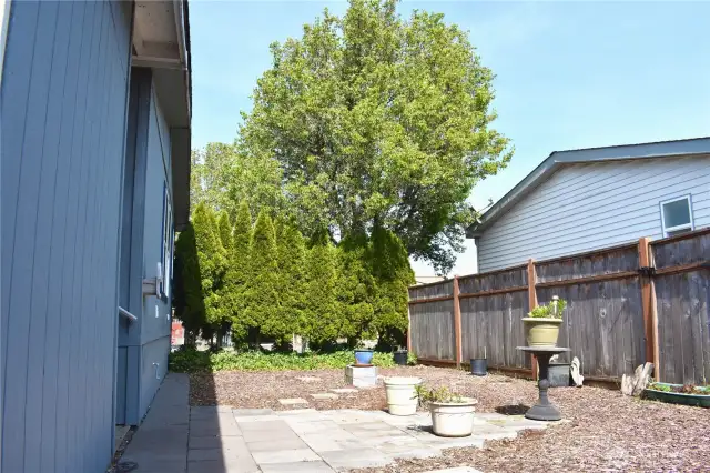 Side "yard"