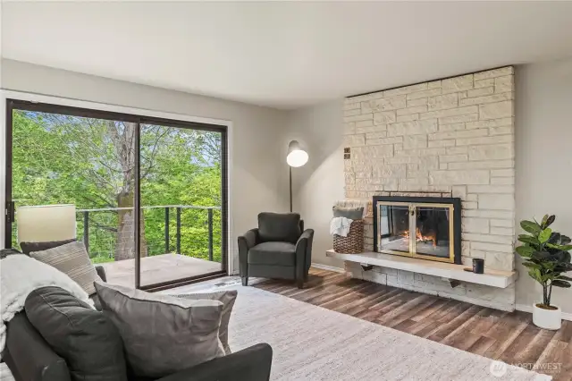Wood Burning Fireplace