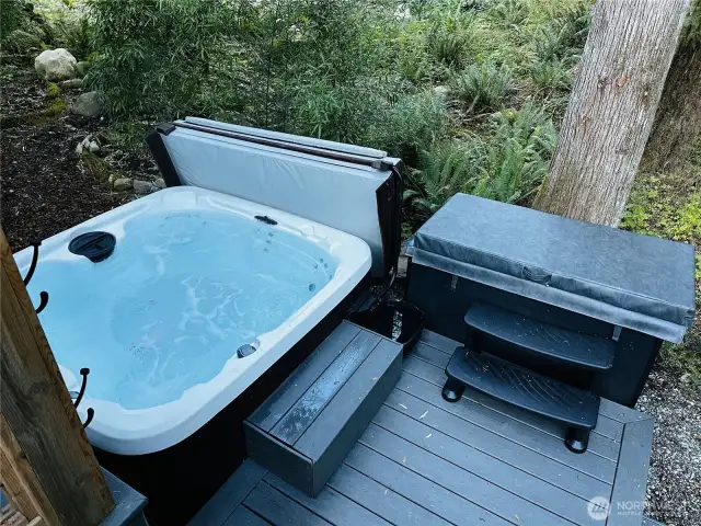 Hot tub and cold plunge