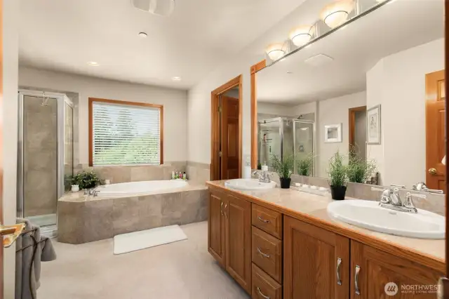 Jack and Jill bathroom, accessed by the 2 upper, oversized bedrooms.
