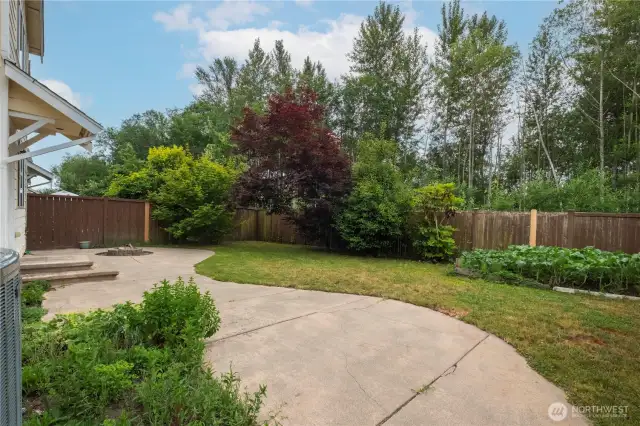 Private back yard.