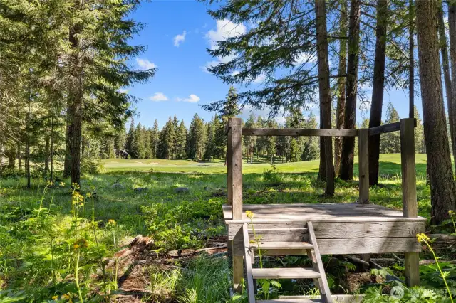 Viewing platform to get a little elevated off the ground to see what your views from your back patio will be!