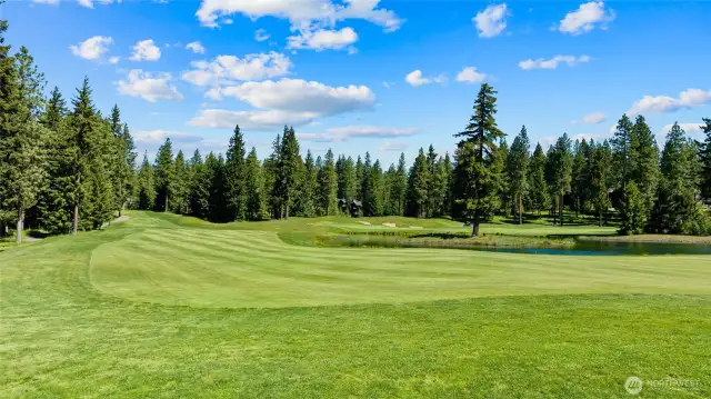 Golf course home sites...a rarity!