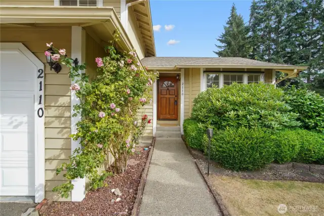 Front walkway lined with rose bushes