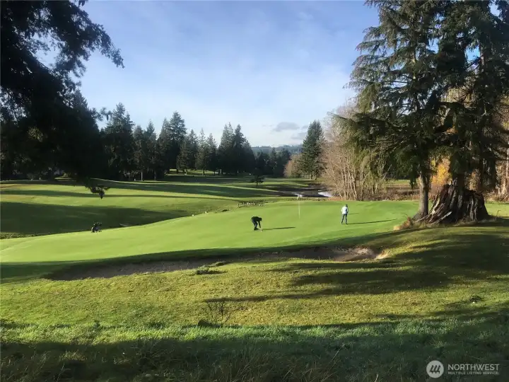 The award-winning Port Ludlow Golf Course is a short drive away! Enjoy all the recreational and scenic opportunities the Port Ludlow and the Olympic Peninsula offers; build your dream home HERE!