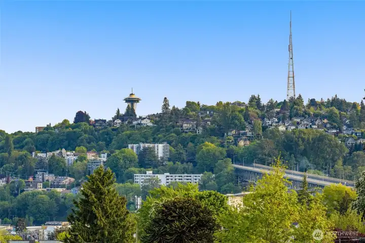 Glimpse the Space Needle rising from lush greenery—Wallingford's elevated charm is on display.