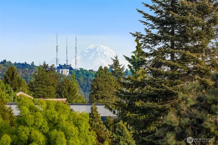 Catch awe-inspiring views of Mt. Rainier on a clear day—a stunning reminder of Seattle's natural beauty. Catch awe-inspiring views of Mt. Rainier on a clear day—a stunning reminder of Seattle's natural beauty.
