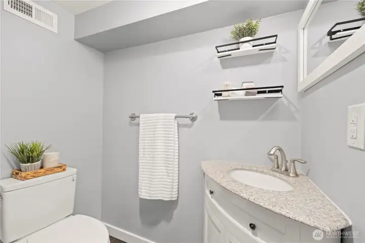 Lower level bathroom