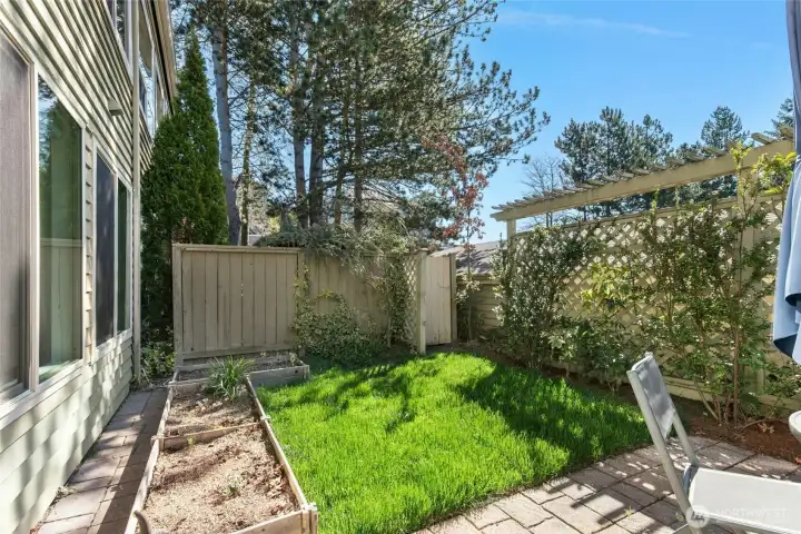 Cute backyard, sunny and private!