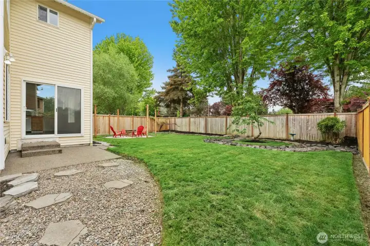 back yard