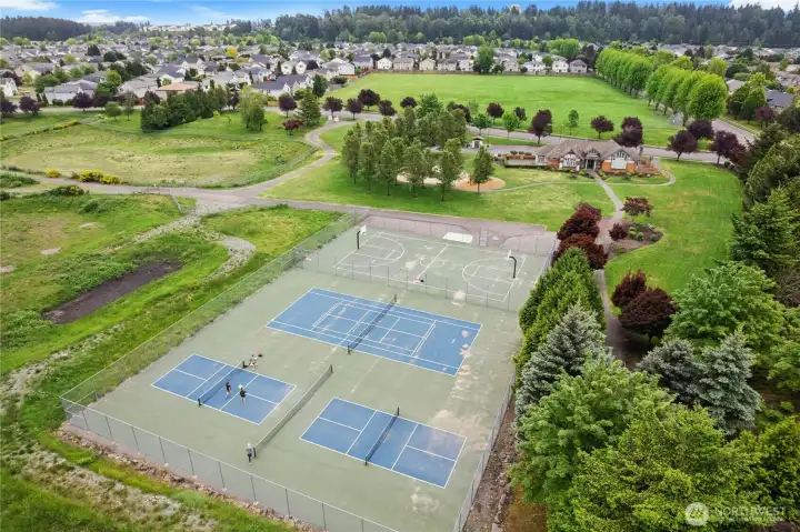 sport court