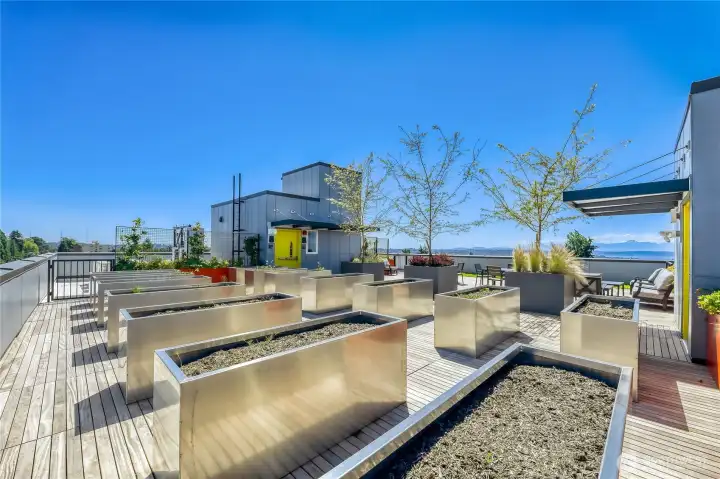 Garden space