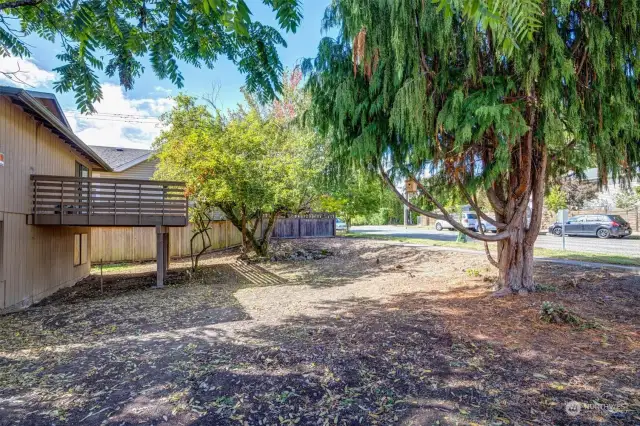 Side yard north of home, Holden St on right.