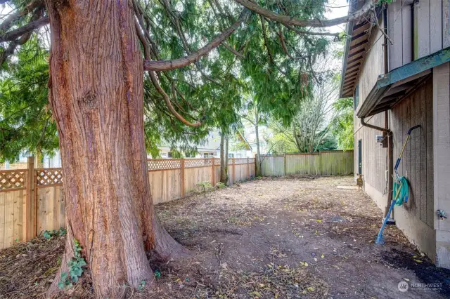 Left of garage yard.