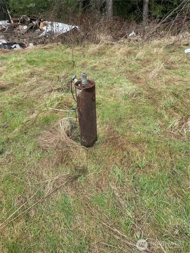 Well head