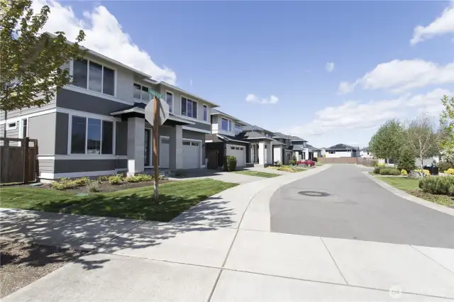 Very nice and quiet neighborhood
