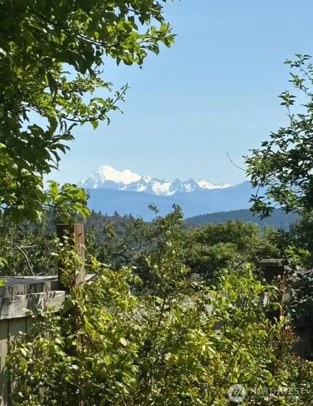 View of Mt. Baker