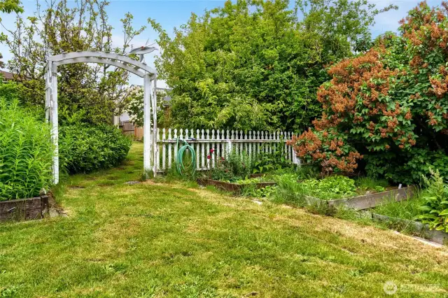 White picket fence and arch split the backyard, keeping it cozy and manageable.  a little TLC will go a long ways here.