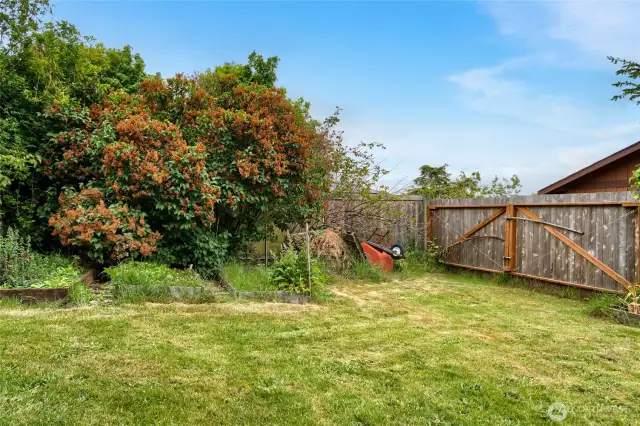 Lower portion of the back yard, gated access to the alley where it is possible to bring an RV or trailer in and park.  there is ample room for expanding the garden area, putting more raised beds in.