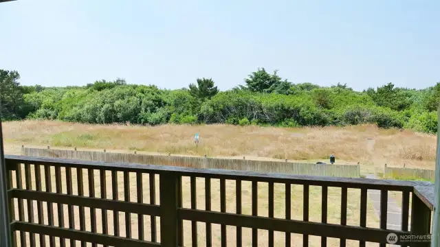 West view from the Deck.
