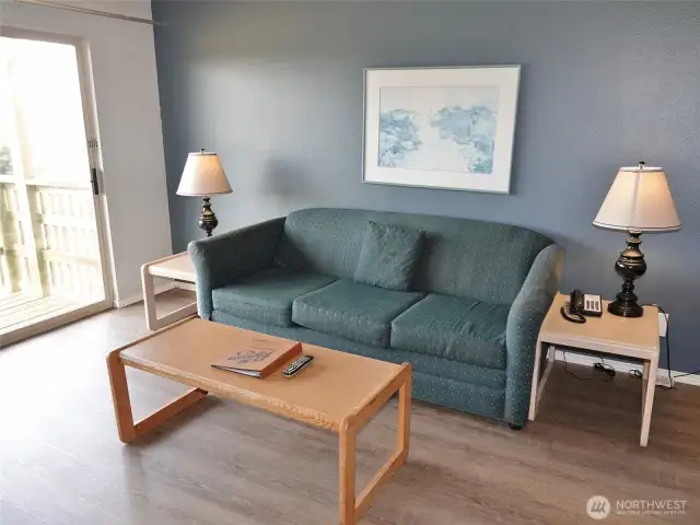 Hide-a-bed couch.