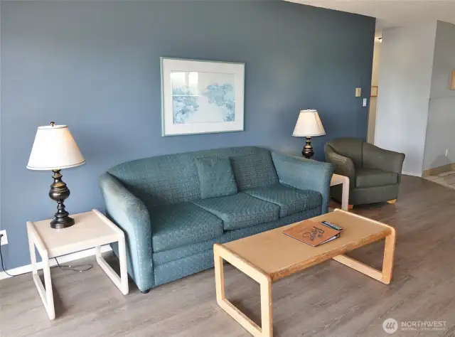 Hide-a-bed couch.