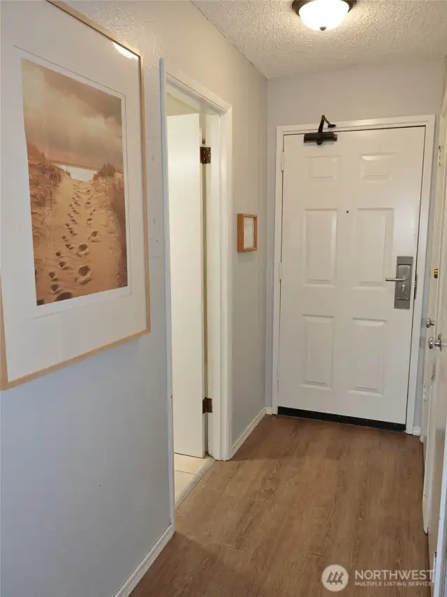 Entry. Owner's Locked Closet is to the left. Bathroom is to the right.
