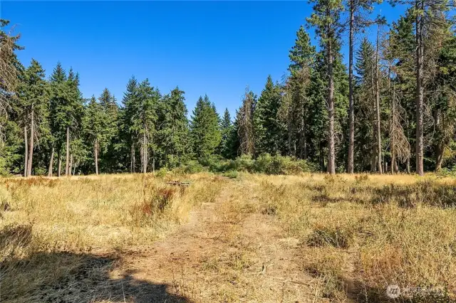 Acres of fields and trees, potentially marketable timber if someone wished to take a few trees down