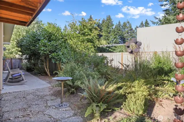 Mature foliage provides green views all year round.