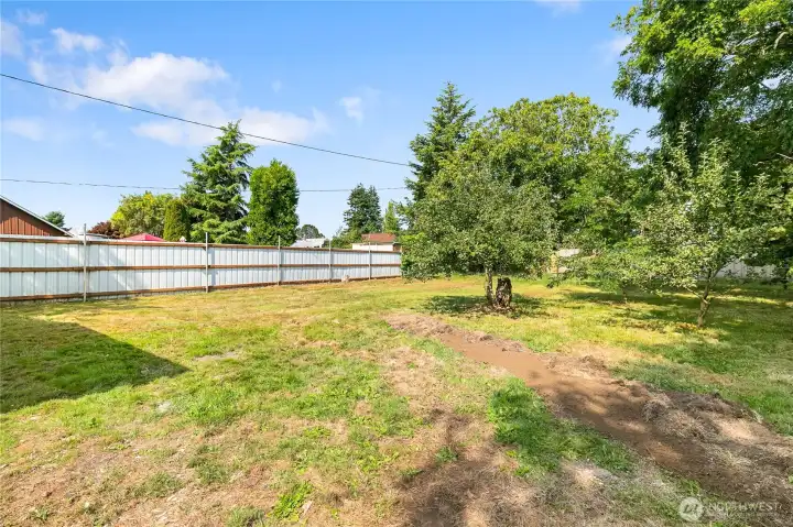 Look at the size of this back yard!
