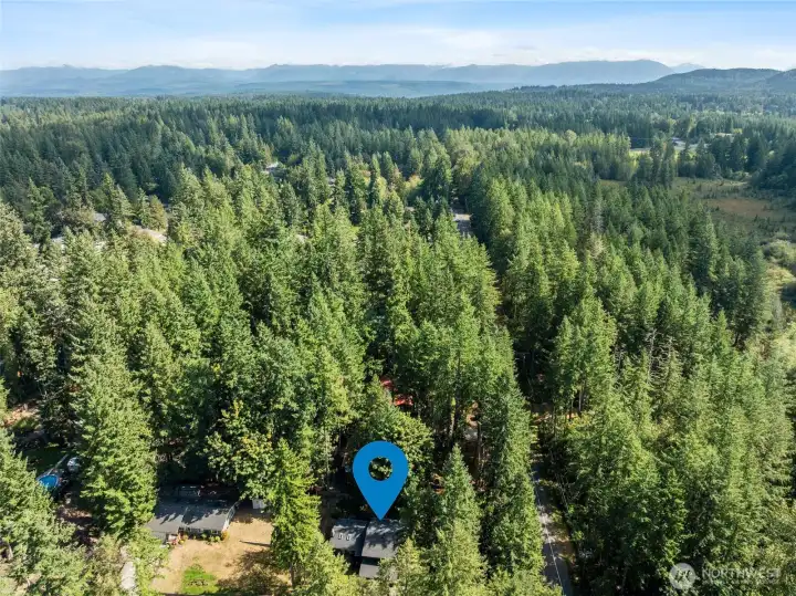 Arial View