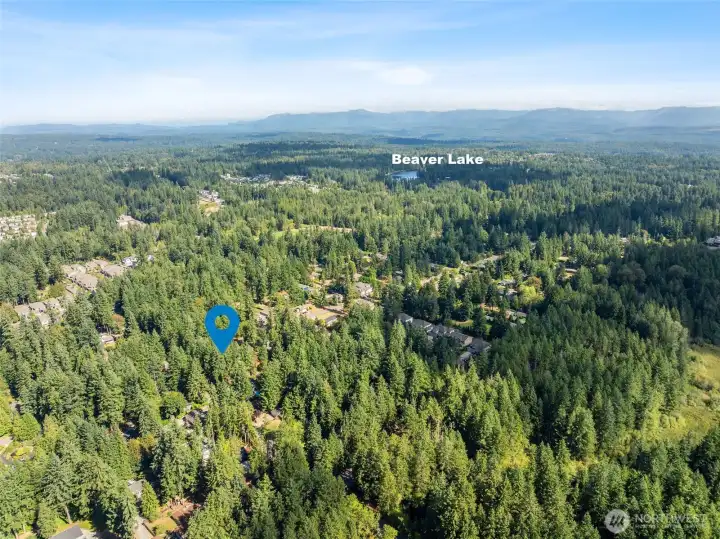 Arial View of Home in relation to Beaver Lake Park