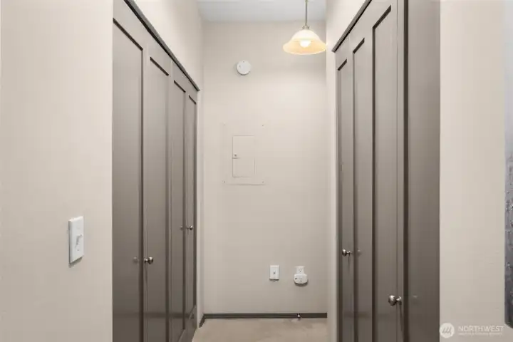 Designer paint throughout